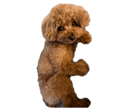 839818124
