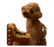 839818128
