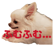 839818422