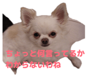 839818423