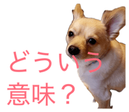 839818425