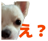 839818428