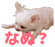 839818429
