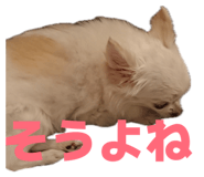 839818430