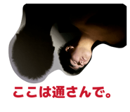 839818997