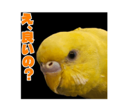 839820058