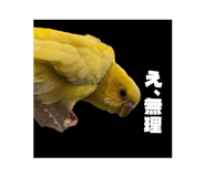 839820059