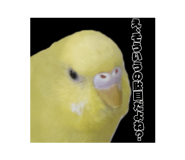 839820060