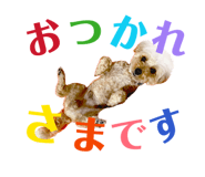 839820065