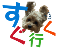 839820071