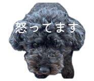 839820351