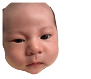 839820550