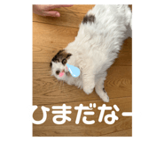 839821478