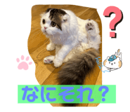 839821482
