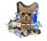 839821492