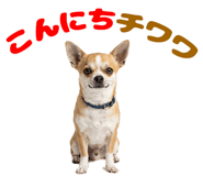 839824705