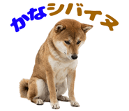 839824709