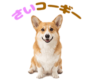 839824713