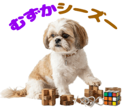 839824716