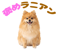839824720