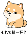 839825497