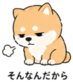 839825501