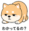 839825505