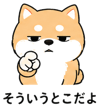 839825507