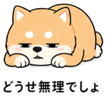 839825510