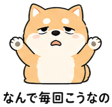 839825511