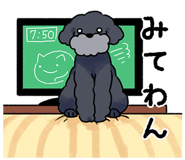 839825779