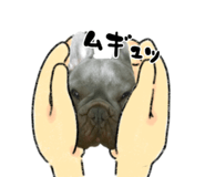 839827643