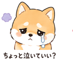 839827660