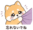839827664
