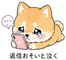 839827706