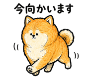 839828386