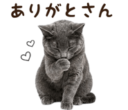 839828915