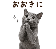 839828916