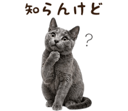 839828923