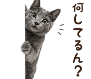 839828928