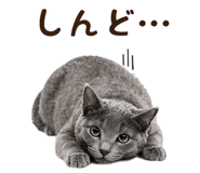 839828933