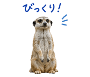 839829245