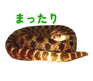 839830114