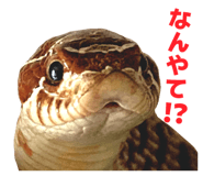 839830118