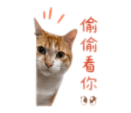 839830235
