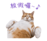 839830239