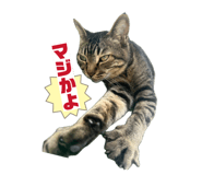 839831466