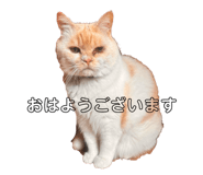 839831890