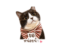 839832127