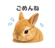 839832446
